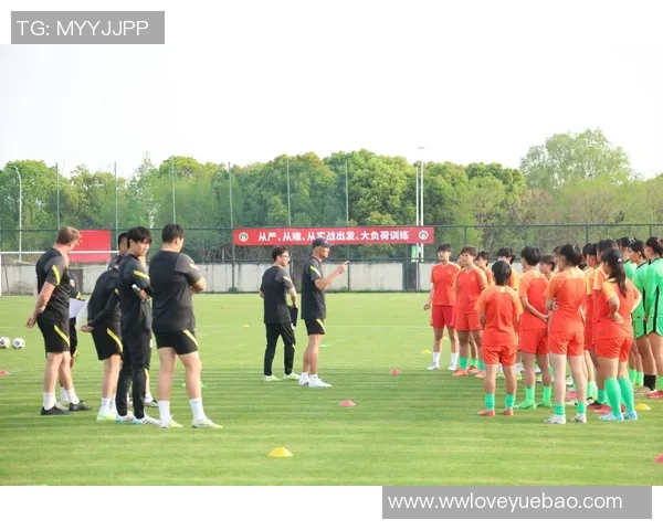 足球大思维：从战术分析到心理素质全面提升球员竞技水平的全新视角